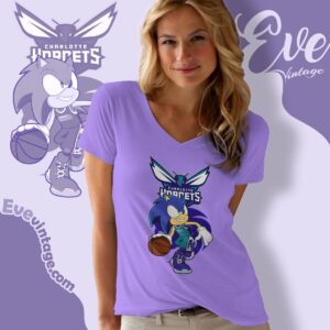 Charlotte Hornets Sonic The Hedgehog Shirt V Neck TShirt